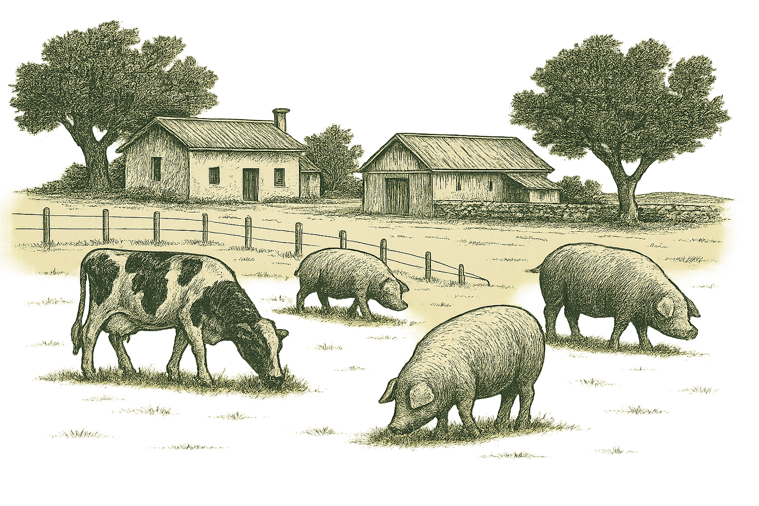 Fresh ingredients from our family farm in central Portugal